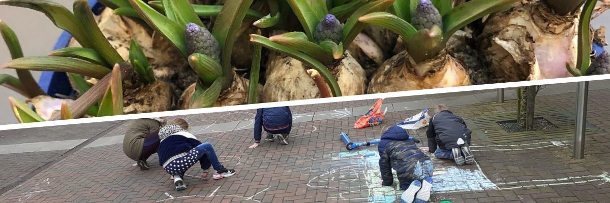 Bloemenzee en stoepkrijttekeningen - CuraMare